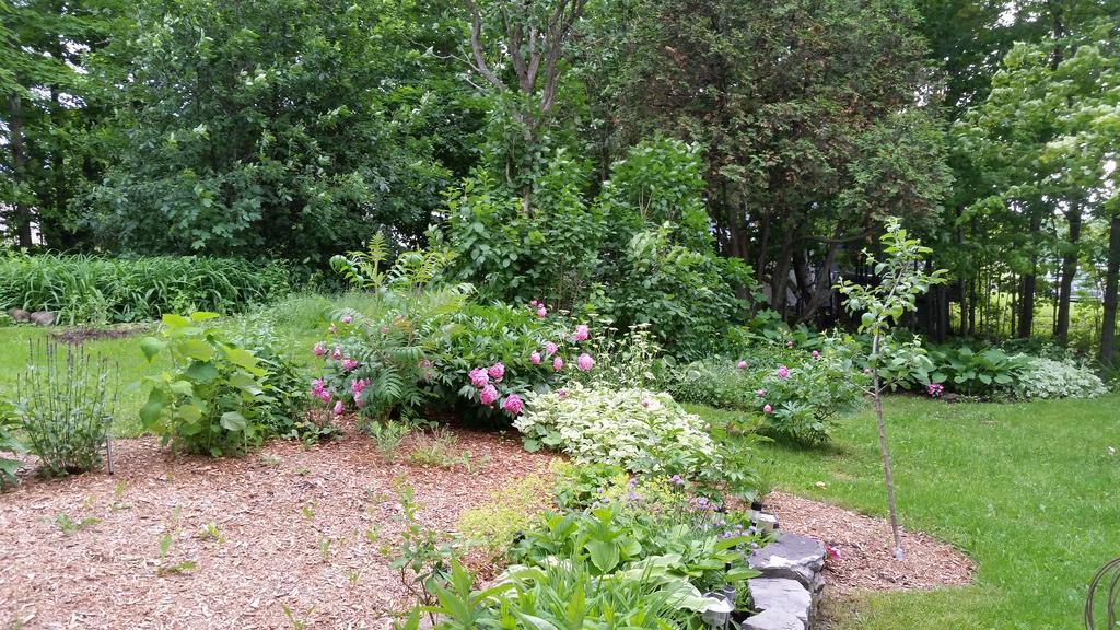 La Maison Ancestrale Guerard Saint-Laurent-de-l'ile d'Orleans Eksteriør bilde